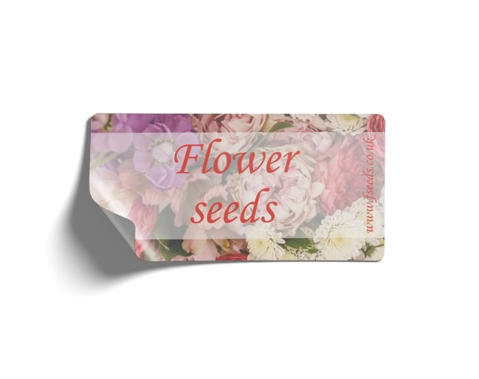 Small Vinyl Stickers